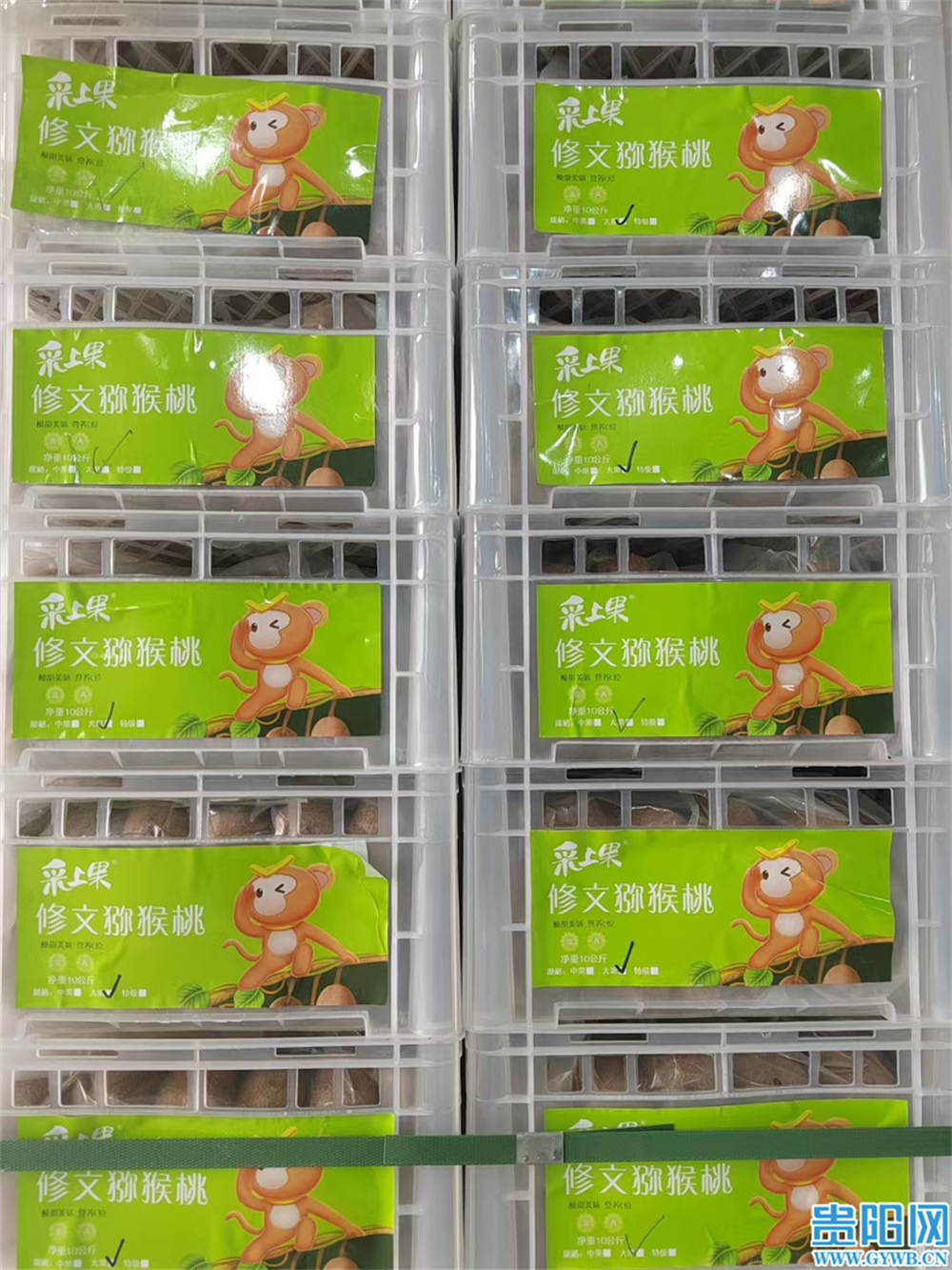 7a5e7e9f8257f83c8095e21ebf4c1932.png