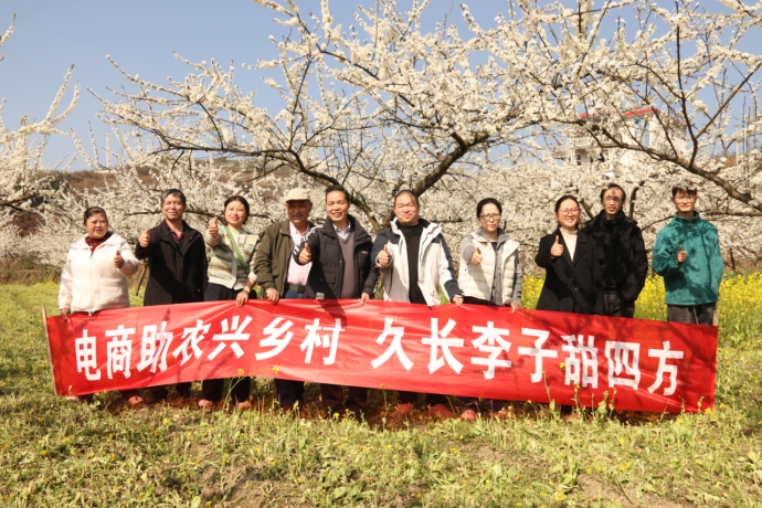 電商助農(nóng)興鄉(xiāng)村，久長李子甜四方
